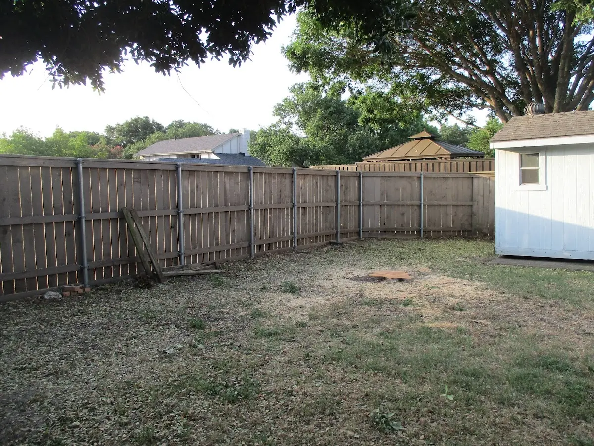 Cleared yard after professional tree removal in Fort Hood
